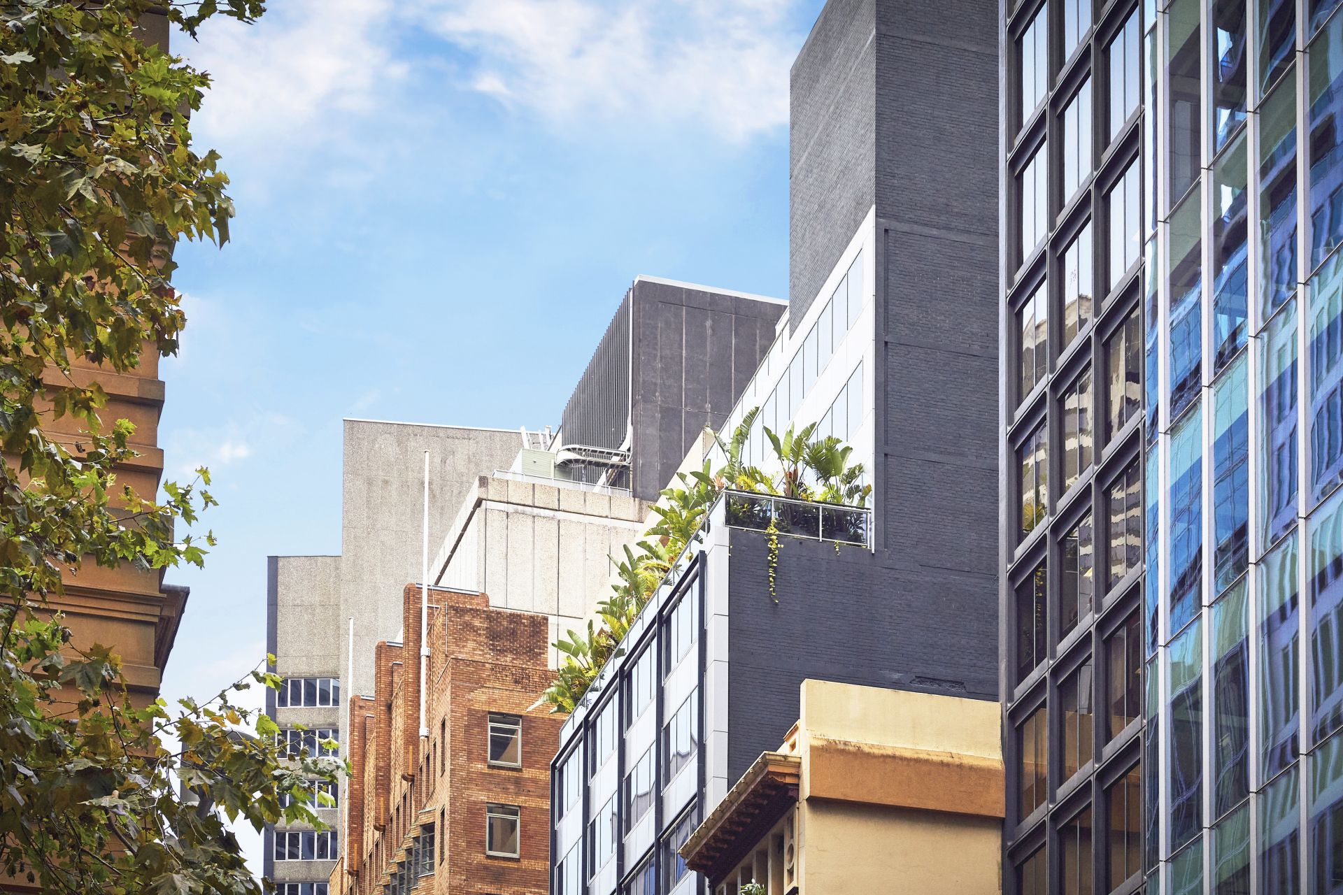 Sydney’s premier whole floor strata office hits the market